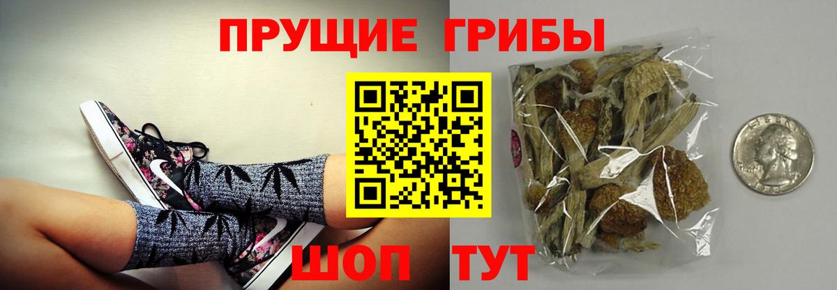 Кемерово  Галлюциногенные грибы Psilocybe  Вход с VPN 